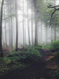 Indian Beach, Oregon Coast.