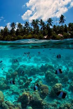 Split-View, The Maldives