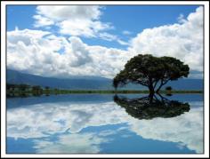 Ngorongoro Crater National Game Reserve, Tanzania  African Lakeside (by Heaven`s Gate (John))