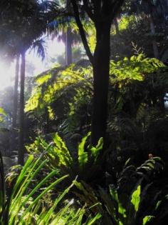 Royal Botanic Gardens, Melbourne