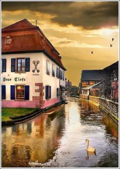 Reid Alsace France