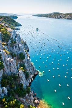 Krka River / Šibenik, Croatia www.reservationwa...