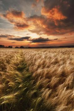 Like A Dream by Dave Brightwell on 500px #Roseberry_Topping #North_Yorkshire #UK #Europe