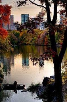 Central Park, NYC in moment love