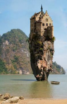 Castle House Island in Dublin, Ireland. this is the COOLEST thing EVER!!!!