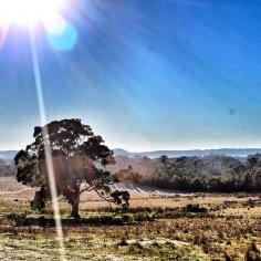 Winter morning, outer suburbs