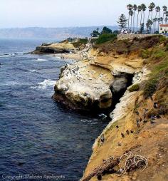 Cliffs on the Shore at La Jolla in San Diego, California