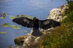 Everglades National Park - FL - USA (Photo by Enio Paes Barreto)