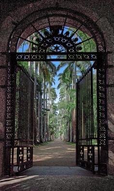 Secret Garden    Botanical Garden, Rio de Janeiro, Brazil #betterthanbraziltaxi   #BrazilAirportTransfers brazilairporttran... 1-800-617-6398