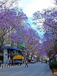 Athens (Athena Avenue) Greece