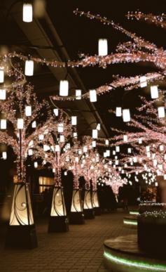 Haning Pendants strung from tree lights