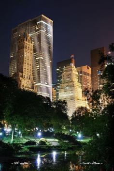 NYC. Central Park