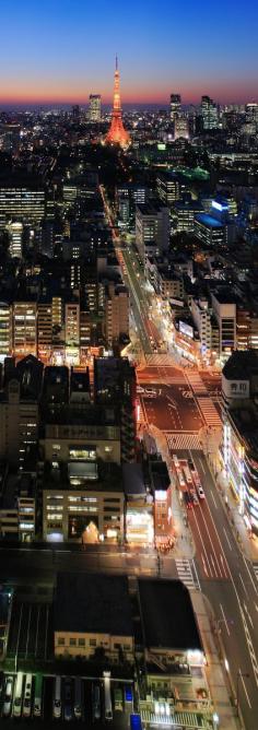 Tokyo, Japan - Beautiful Tokyo Tower in the distance