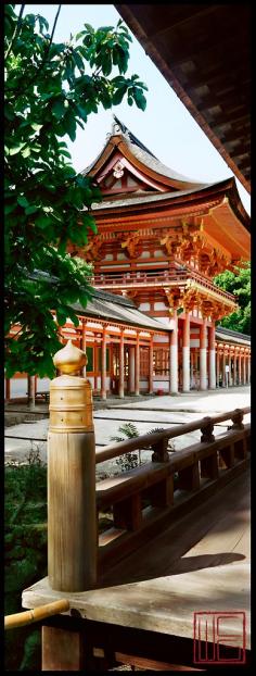 Shimogamo Shrine    This Autumn   How Old   I am getting-   Ah, The Clouds, The Birds!     Basho