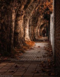 Autumn in Buenos Aires, Argentina