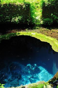 Kakitagawa Spring water of Mt. Fuji #travel