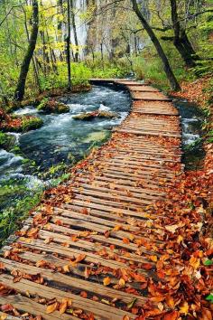 Plitvice Lakes National Park, Croatia