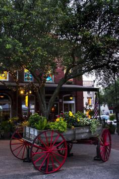 Savannah - GA - USA (Photo by Enio Paes Barreto)