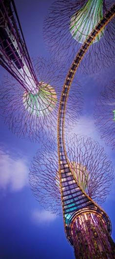 ✯ Supertrees in Singapore