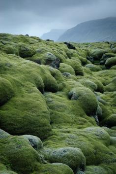 Lava fields in Iceland ~ by the london eye