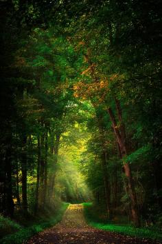 Early  Mist, Pennsylvania, --  by Emmanuel Panagiotakis    makes me wanna go on a bike ride.