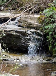 365........A Small Waterfall in Alabama Usa