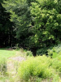 373....A Bridge Across A Small Creek In Alabama