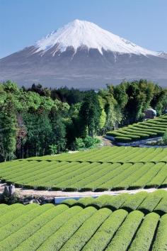 Japan, Mount Fuji  Travel Japan multicityworldtra...    I'd love to climb some of this a view it's majestic beauty