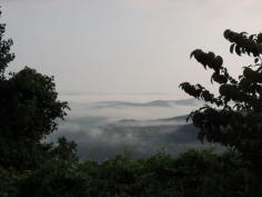 356.....Alabama Mountain Veiw From Grant Mountain