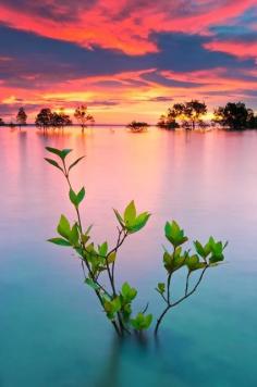 Above The Tide, Darwin, Australia