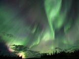 Wapusk National Park, Manitoba.