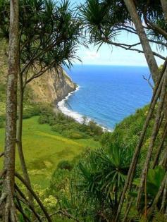 Waiman , The River of Birds - Hawaii -