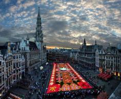 Picture of the Day: Brussels Flower Carpet