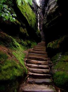 Canyon Steps, The Black Forest, Germany