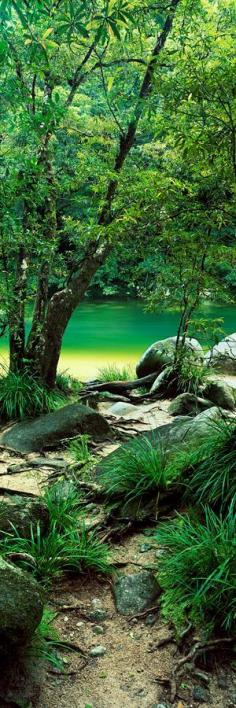 Mossman Gorge. Queensland Australia - Tropical Paradise