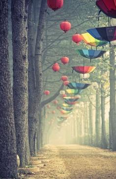 Umbrellas at Nami Island, S. Korea