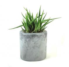 Oval Concrete Pot / Vase