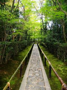 Entrance Walkway, Koto-in Zen Temple, Kyoto, Japan, November 14, 2006. From parabola-magazine.