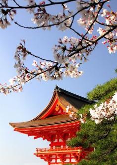 Spring in Kyoto, Japan.