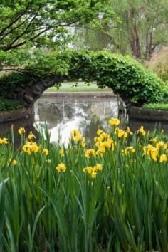 Carlton gardens Melbourne