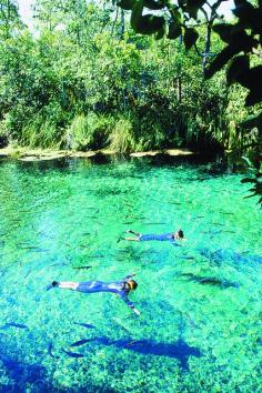 Bonito, Mato Grosso do Sul by Visit Brasil, via Flickr