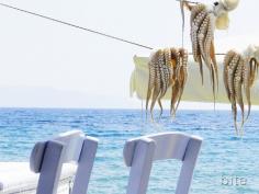 Octopus drying outside a small beachside taverna... must go to Greece.