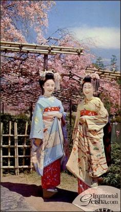 #Japan #maiko