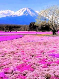 Mount Fuji, Japan