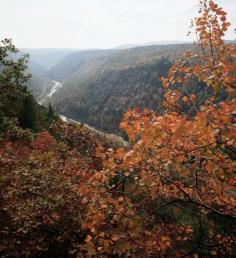 Pine Creek Gorge, Pennsylvania "Grand Canyon"