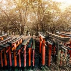 Kyoto - Fushimi Inari