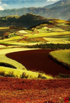 Red Earth of Yuan Nan, China. 云南红土地