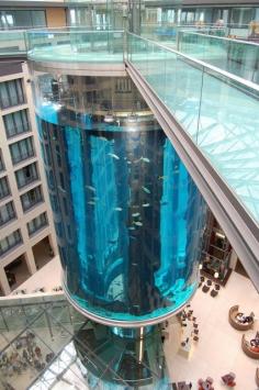 The AquaDom in Berlin, Germany