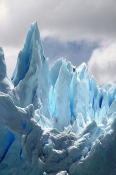 Glacier Bay Alaska