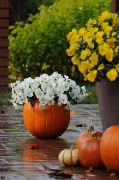 DIY Pumpkin Planters